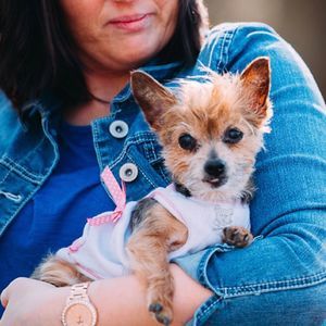 Meet your Posher, Christy